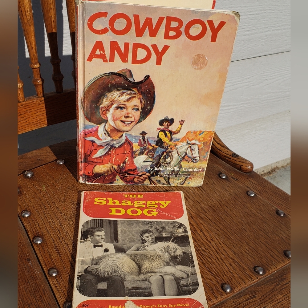 vintage Childrens 60's Books Disney   🐎 Cowboy Andy & Shaggy Dog Lot Of 2